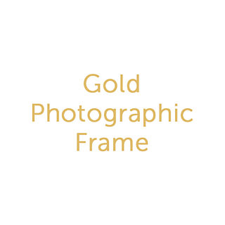 Photographic Paper + Gold Frame